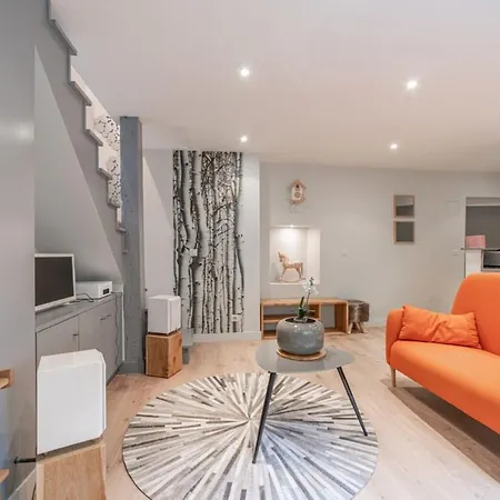 Escale Annecienne Furnished Flat Annecy